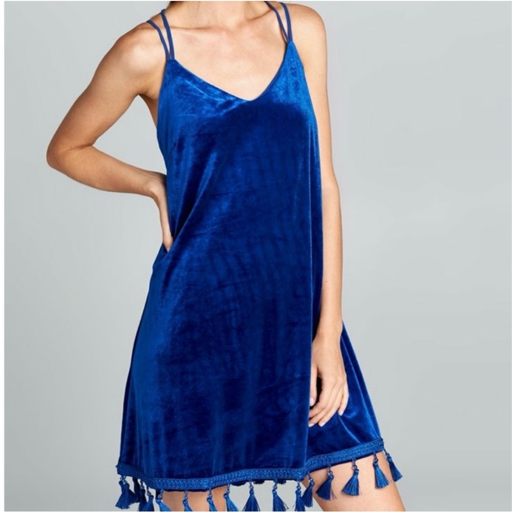 NWT Blue Velvet tassel hem dress